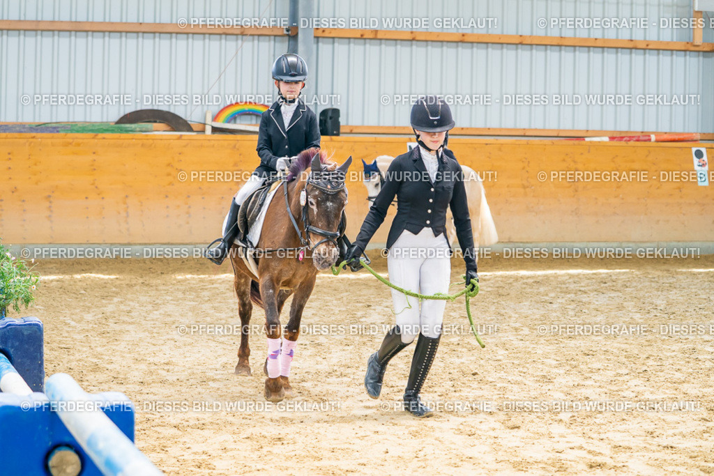 DSC00628 | Pferdegrafie