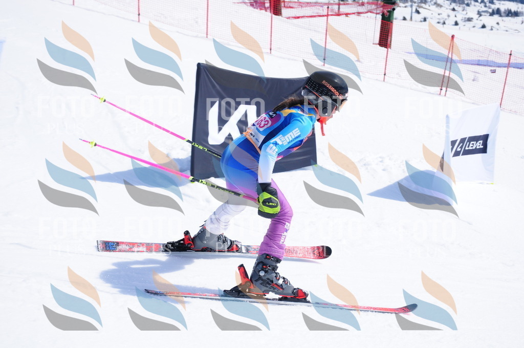 DSC_5410 | holidayphoto