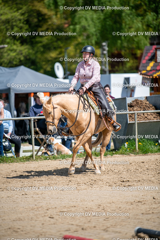 Heiligenwald Tag 3-1245 | dv-media-shop - Realisiert mit Pictrs.com