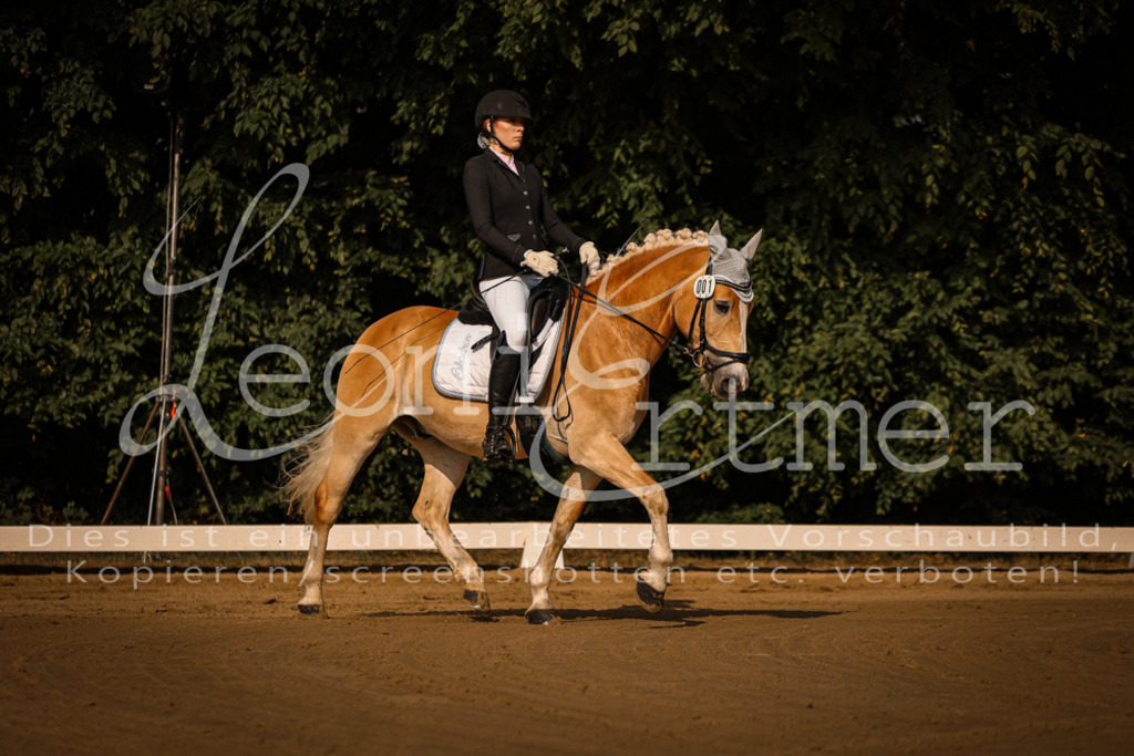 14.SaDrA00022 | Leoni Ertmer Photography - Realisiert mit Pictrs.com