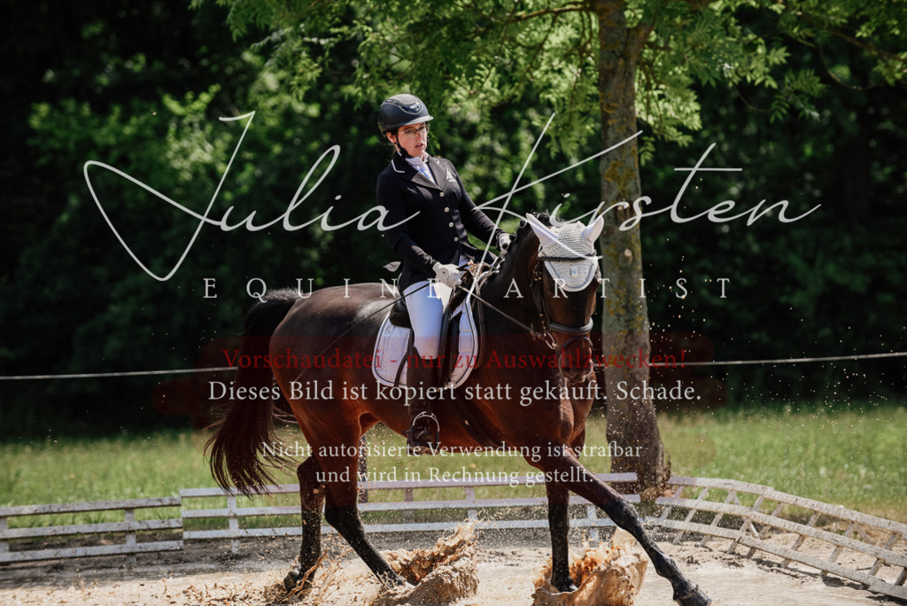DSC_1101 | Pferde- und Turnierfotografie in Westsachsen. Pferdeportraits, Auftragszeichnungen und intuitive Kunst.