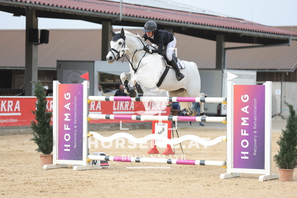 0P6A7076 | Willkommen bei Brunnmayr - Design & Fotografie – Ihrem Spezialisten für Reitturniere und Pferdeveranstaltungen in Oberösterreich, Salzburg und Bayern! Seit über 17 Jahren sind wir leidenschaftlich dabei.