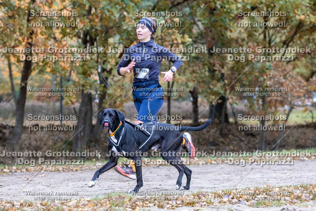 Dog Paparazzi - SD CaniX Championship 2025-450 | Dog Paparazzi Jeanette Grottendiek Fotografie & Videografie - Realisiert mit Pictrs.com