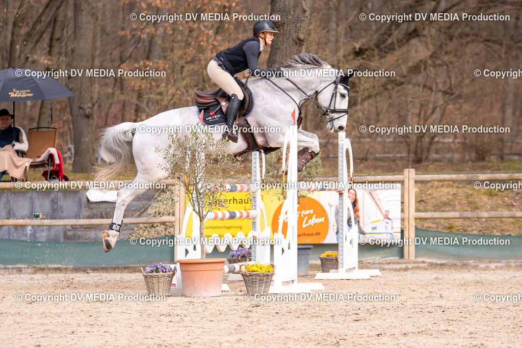 Kranichstein Tag 2-1731 | dv-media-shop - Realisiert mit Pictrs.com