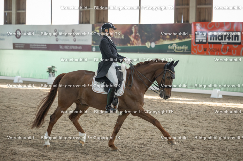 _D5A0582 | Emotionale Pferde- & People-Fotografie rund um Heidelberg, Leimen & Umgebung. Natürliche Fotos von Pferd, Mensch & Familie. Jetzt Termin sichern!