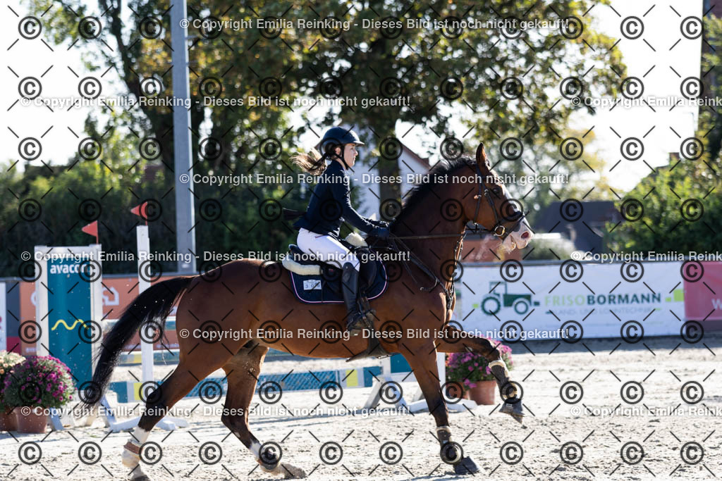 CL5A1209 | Emilia Reinking Fotografie - Realisiert mit Pictrs.com