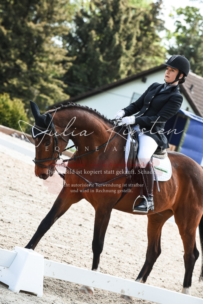 20230518_JK-Röhrsdorf-11-0463 | Pferde- und Turnierfotografie in Westsachsen. Pferdeportraits, Auftragszeichnungen und intuitive Kunst.