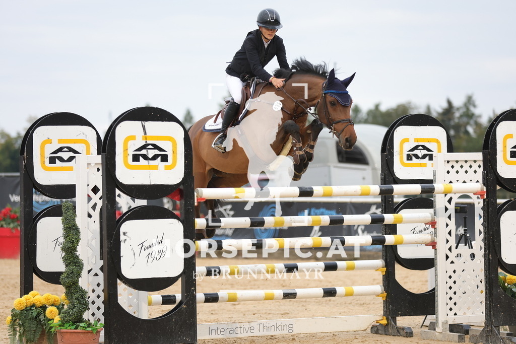 0P6A4423 | Willkommen bei Brunnmayr - Design & Fotografie – Ihrem Spezialisten für Reitturniere und Pferdeveranstaltungen in Oberösterreich, Salzburg und Bayern! Seit über 17 Jahren sind wir leidenschaftlich dabei.