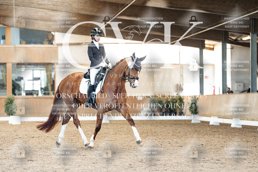 CK909059 | Turnierfotografie Pferdefotografie Trier Rheinland-Pfalz Pferdesport Reitsport Tierfotografie Sportfotografie Pferdevideo Pferdevideografie Equestrianvideography equestrianphotography  - Realisiert mit Pictrs.com
