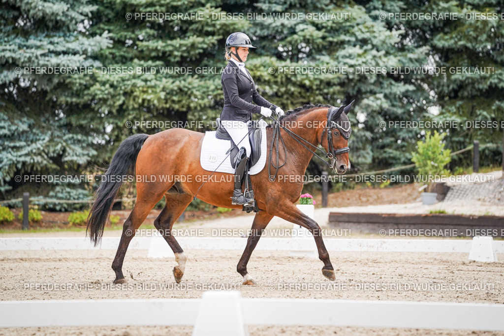 DSC02588 | Pferdegrafie