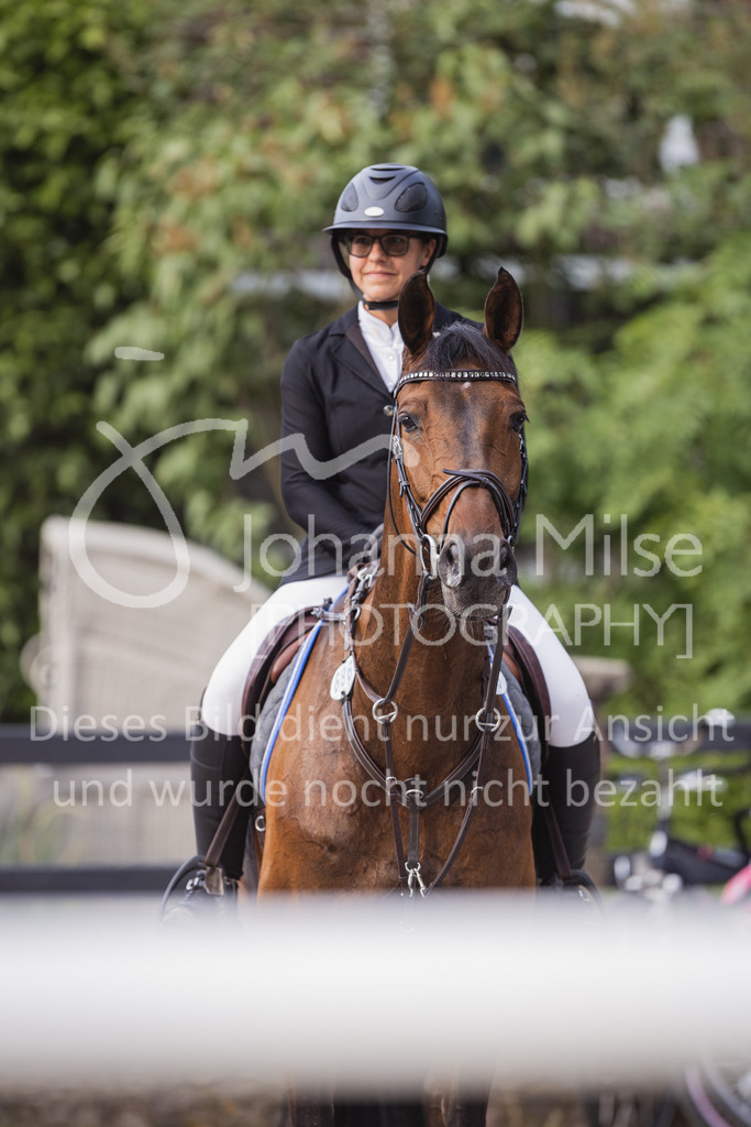 230616_Lemwerder_SprPf-Lgeschl-960 | Deine schönsten Turniermomente als professionelle Fotos! Entdecke hochwertige Pferdesport-Fotografie im Online-Shop. Jetzt Fotos finden & bestellen!