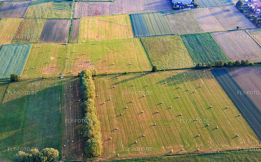 Heurundballen auf abgemähten Wiesen im Otterbachtal | Luftbild: Heurundballen auf abgemähten Wiesen im Otterbachtal im Ortsteil Schaidt in Wörth im Bundesland Rheinland-Pfalz in Deutschland. Foto: IMG_100642.jpg vom 02.06.2017 durch Werner Riehm/FLY-FOTO.de - Realisiert mit Pictrs.com