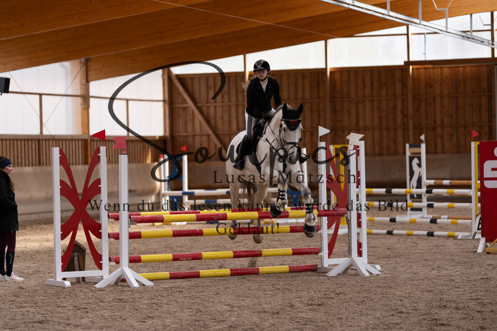 A7507814 | Pferdefotograf