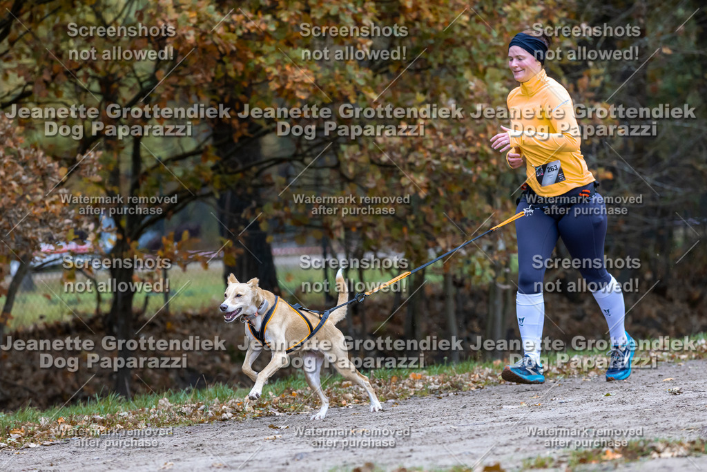 Dog Paparazzi - SD CaniX Championship 2025-547 | Dog Paparazzi Jeanette Grottendiek Fotografie & Videografie - Realisiert mit Pictrs.com