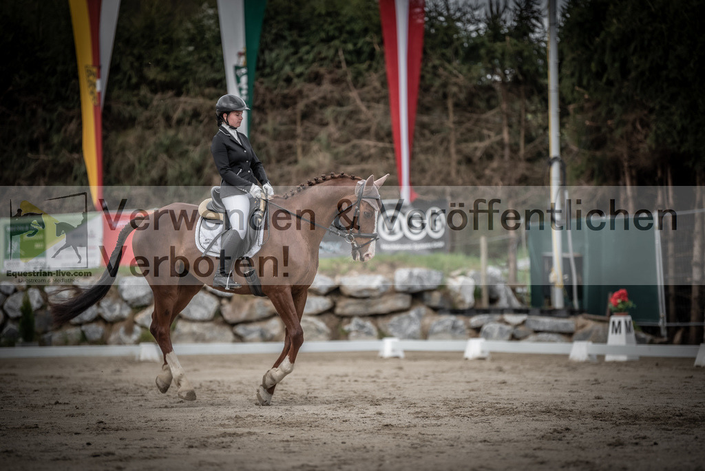 DSC_3076 | equestrian-live-com