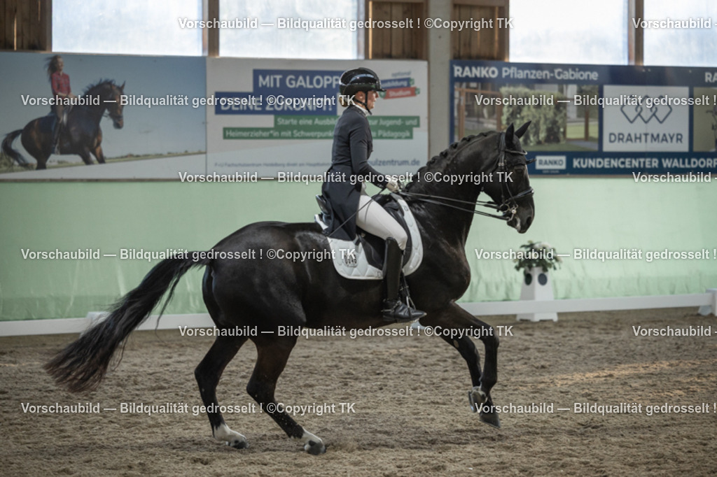 _D5A0805 | Emotionale Pferde- & People-Fotografie rund um Heidelberg, Leimen & Umgebung. Natürliche Fotos von Pferd, Mensch & Familie. Jetzt Termin sichern!