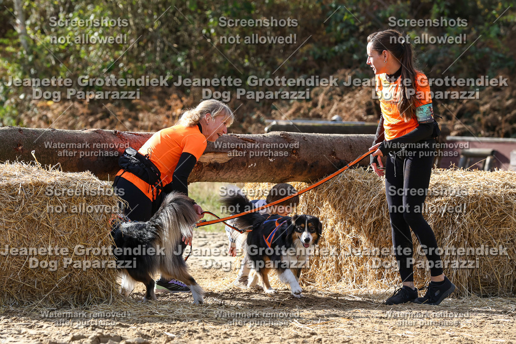 Dog Paparazzi - Strongdog 10-25-5924 | Dog Paparazzi Jeanette Grottendiek Fotografie & Videografie - Realisiert mit Pictrs.com