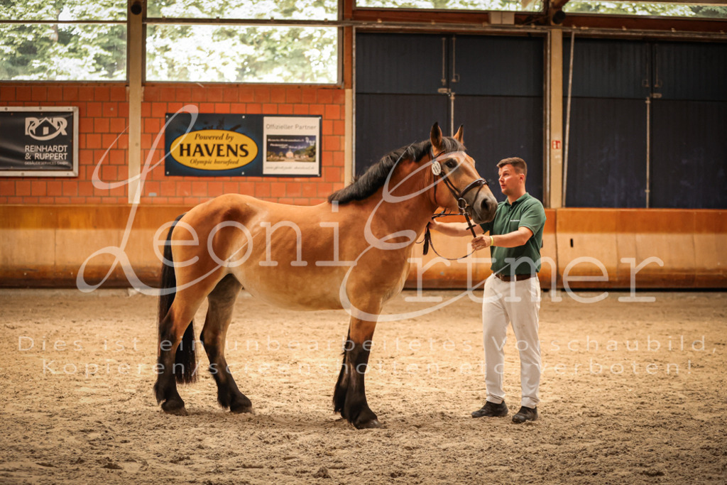 SaFL00283 | Leoni Ertmer Photography - Realisiert mit Pictrs.com