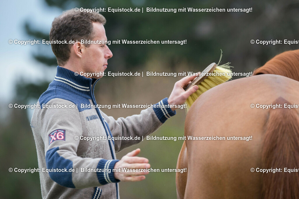 20160226_Ahlmann_0038 | equistock