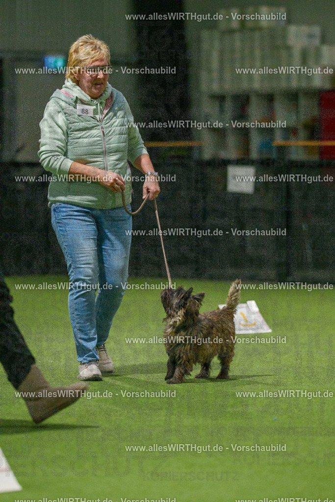 7R508558 | Professionelle Tierfotografie in Mönchengladbach von Daniel Wirth (allesWIRTHgut). Liebevolle & natürliche Bilder von Hunden & Katzen für unvergessliche Erinnerungen.