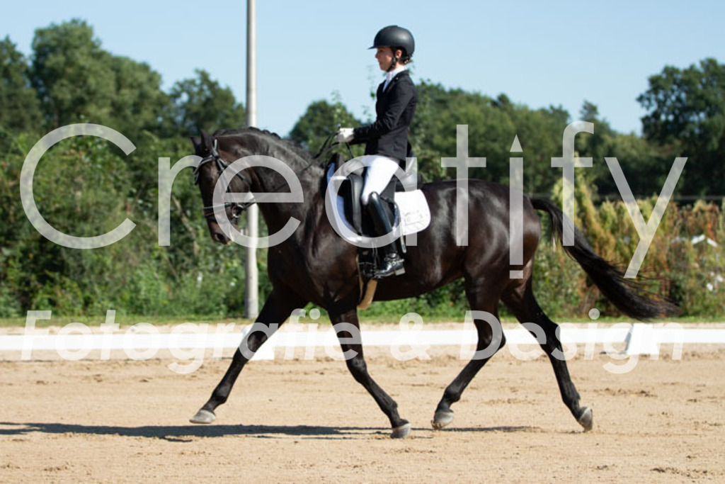 IMG_4847 | Creatify Fotografie