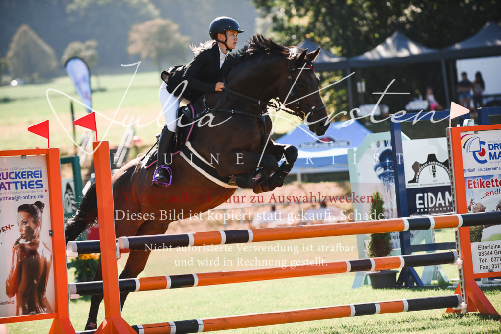 DSC_2391 | Pferde- und Turnierfotografie in Westsachsen. Pferdeportraits, Auftragszeichnungen und intuitive Kunst.