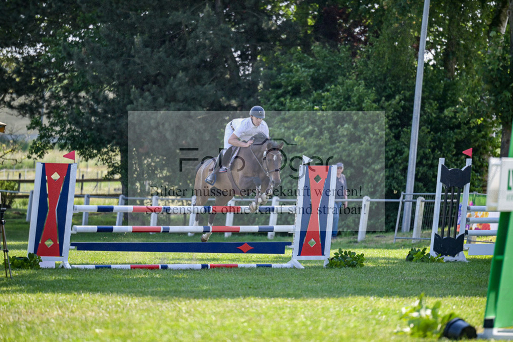 Reitturnier Voxtrup | Entdecke hochwertige Reitturnierfotos von Foto Oger. Professionell, emotional und authentisch – jetzt Lieblingsmomente im Shop bestellen.Deutschlandweite Turnierfotografie. - Realized with Pictrs.com