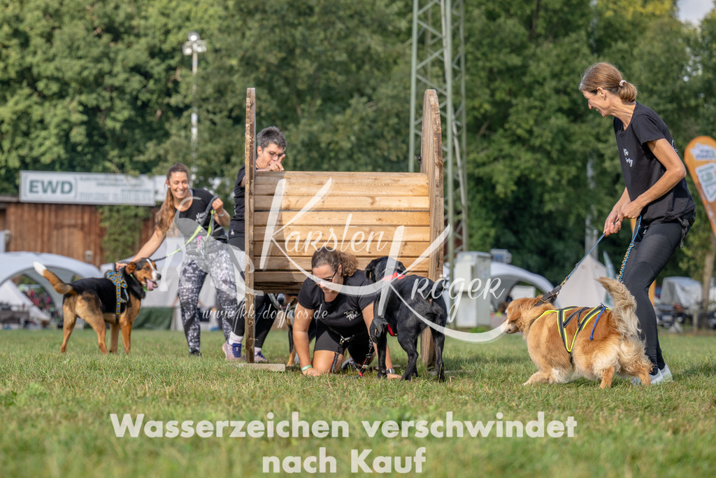 1026_ZZ92320 | kk-dogfotos