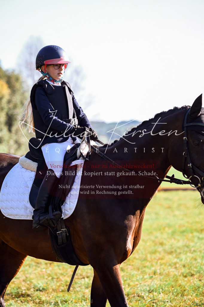 DSC_0239 | Pferde- und Turnierfotografie in Westsachsen. Pferdeportraits, Auftragszeichnungen und intuitive Kunst.