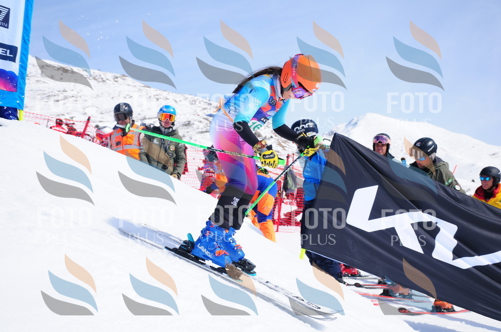 DSC_1451 | holidayphoto