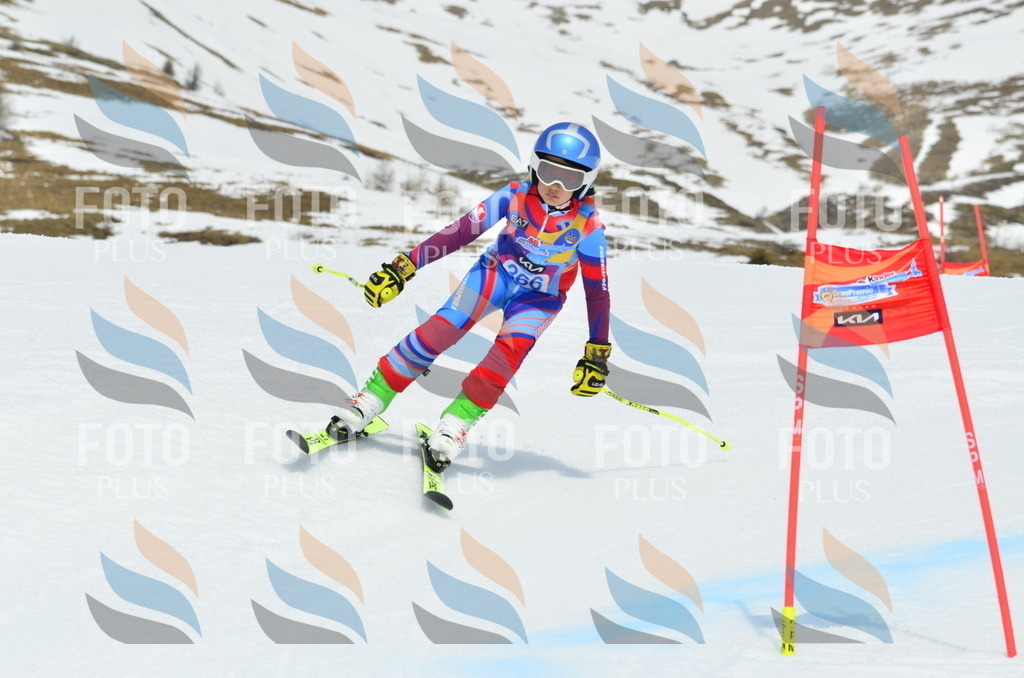 _ELE2956 | holidayphoto