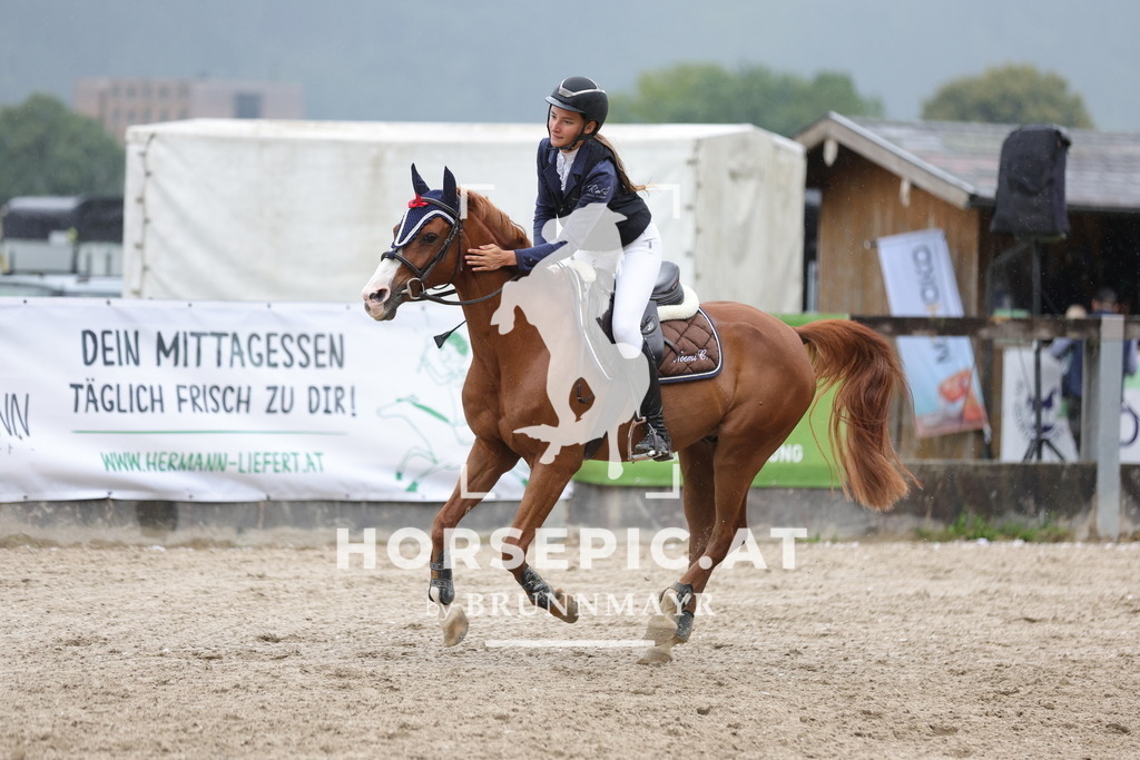 0P6A1558 | Willkommen bei Brunnmayr - Design & Fotografie – Ihrem Spezialisten für Reitturniere und Pferdeveranstaltungen in Oberösterreich, Salzburg und Bayern! Seit über 17 Jahren sind wir leidenschaftlich dabei.