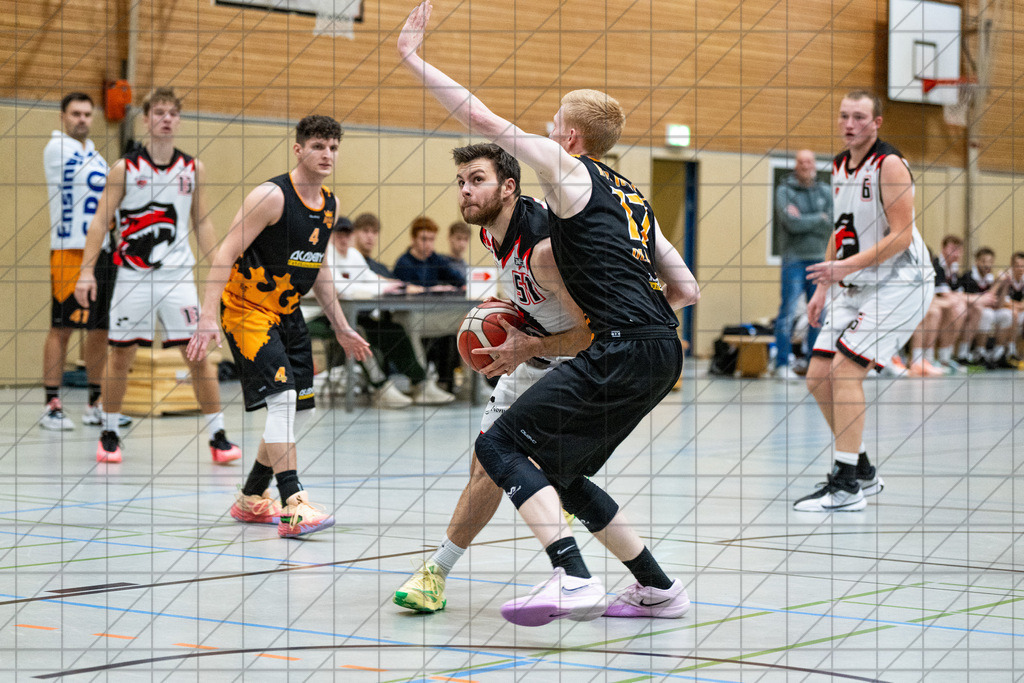2. Regionalliga West | 07.12.2024 | TuS Bad Essen vs. BTB Royals Oldenburg | 2. Regionalliga West | 07.12.2024 | TuS Bad Essen vs. BTB Royals Oldenburg - - - - - CREDIT, www.bullenfotos.de, Martin König, Hörner Weg 40, D-49078 Osnabrück, +4917663732967, Nutzung und Weitergabe nur zu den vereinbarten Zwecken. Presseanfragen an Urheber. Alle Rechte beim Urheber. - - - - - - Realisiert mit Pictrs.com