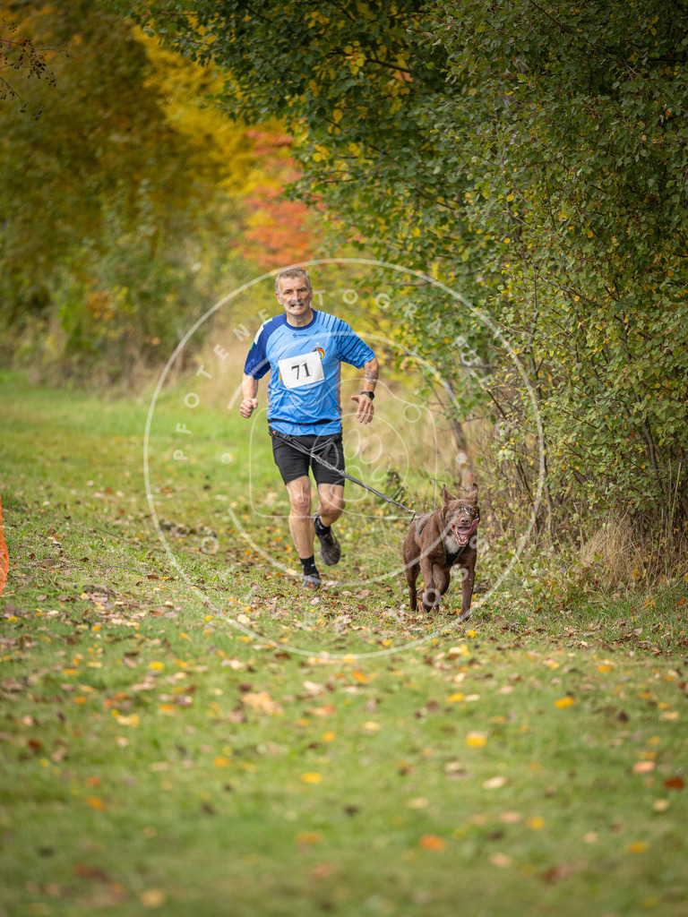 Pfotenfotografie_DV3A2839 | Hundefotografie, Tierfotograf, Pfotenfotografie, Fotoshooting Hund, Hunde Portrait, Hundesport, Hundeportraits, Heideshooting, Hunde, Sportfotograf, Hundefotograf, Turnierhundsport, THS,  - Realisiert mit Pictrs.com