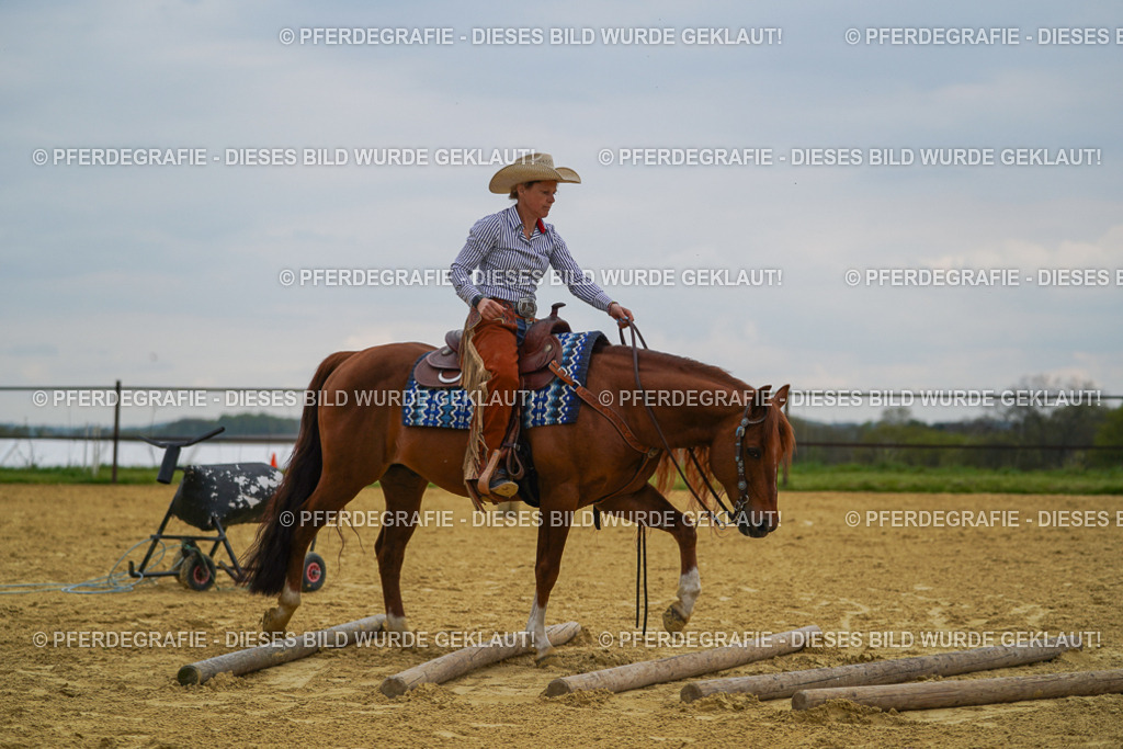 DSC07824 | Pferdegrafie