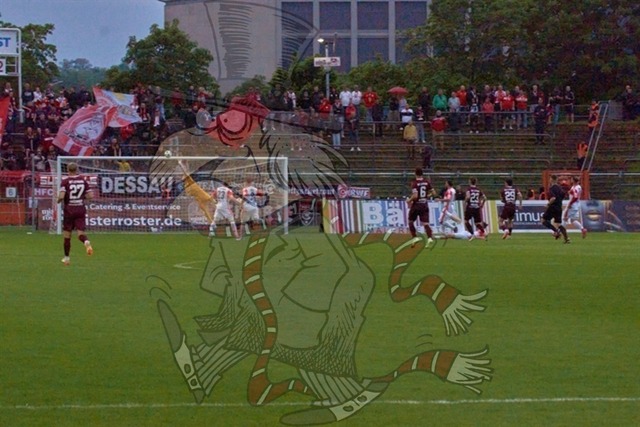 BFC Dynamo vs. Hallescher FC 101 | mythos-online-redaktion