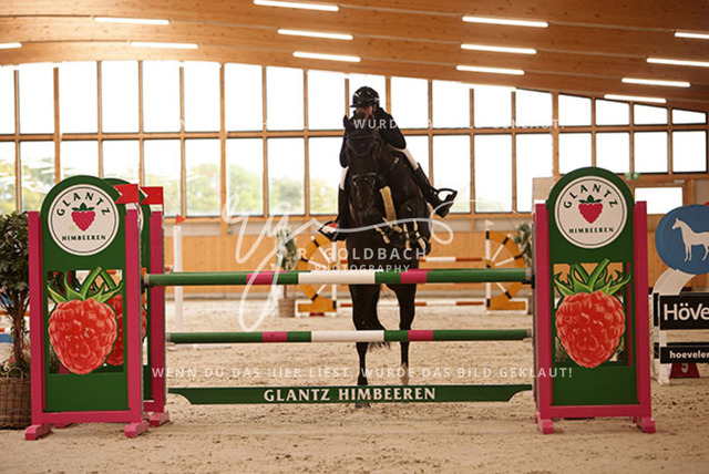 1J2A5128Mira Leinert_ Cilenos L_ Kn139_ Glantz_ Hohen Wieschendorf | Foto- und Videografie für alles rund ums Pferd. Hochwertige Bilder und Videos vom Spring- und Dressurreiten, Voltigieren & mehr. Jetzt aktuelle Veranstaltungen und Preise im Shop ansehen. - Realisiert mit Pictrs.com