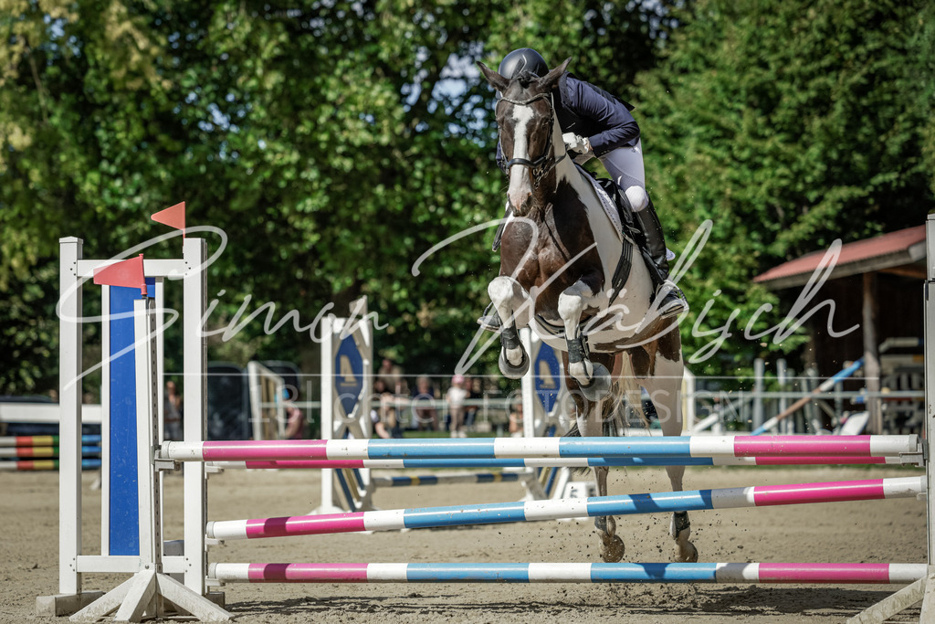20250906-_3LI6037 | Tierfotografie Pferde, Hunde, Katzen, Haustiere.
Turnierfotografie Reitturniere, Reiten, Springreiten, Dressur in Hanau, dem Main-Kinzig-Kreis und dem Rhein-Main- Gebiet um Frankfurt