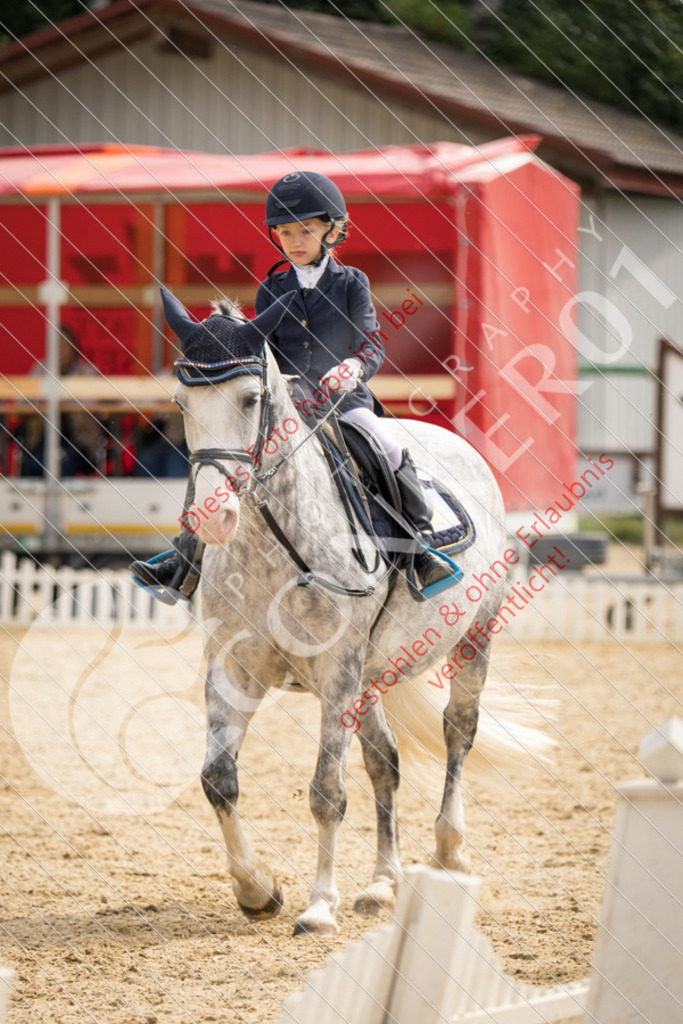 CON_0157 | Sport-, Event- und Tierfotos in Profiqualität. Einfach auswählen, bestellen und herunterladen. Dein Moment – perfekt festgehalten.