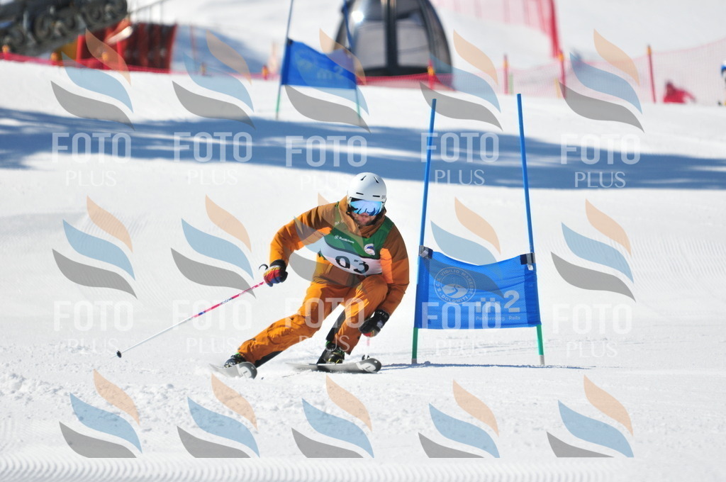 C3294 | holidayphoto