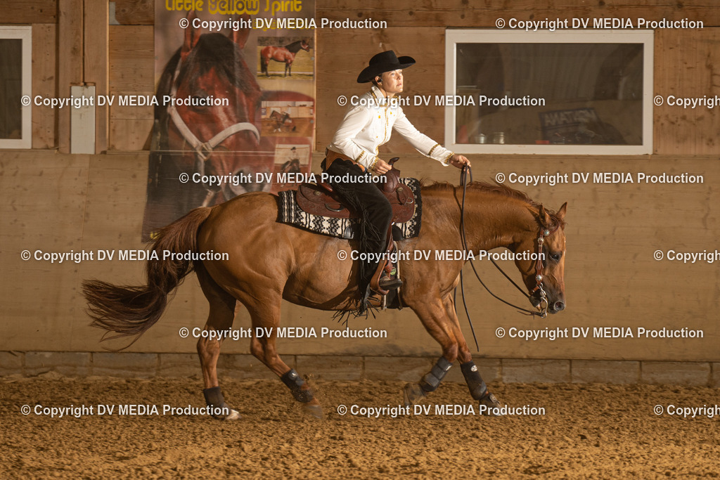 LAU00195 | dv-media-shop - Realisiert mit Pictrs.com