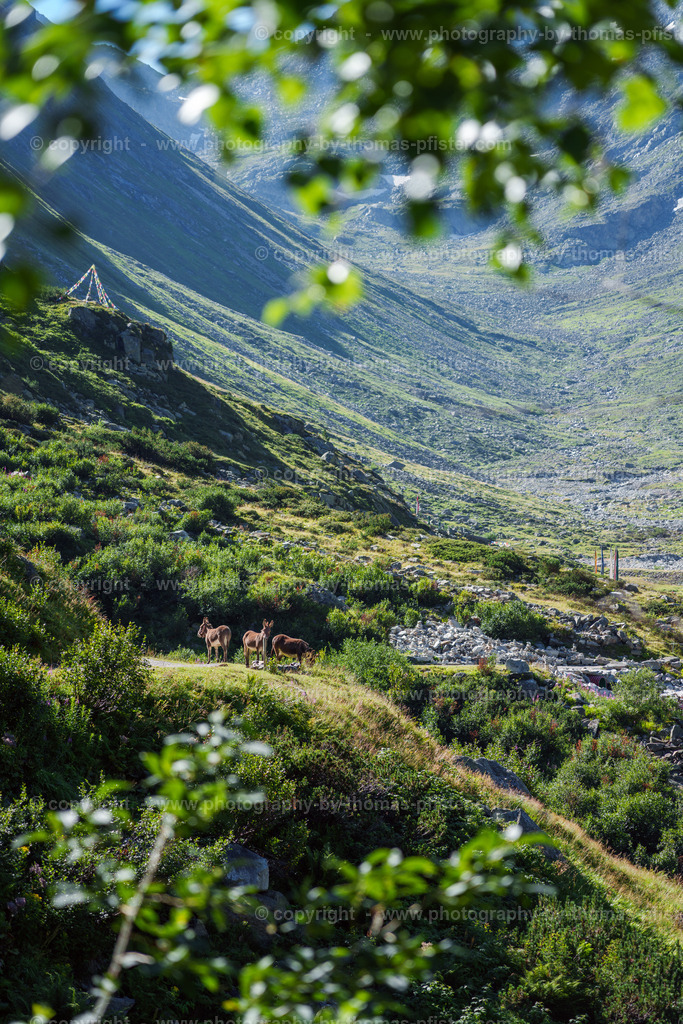 Wanderung Klein Tibet Zillergrund Stausee copyright  Thomas Pfister-19 | PHOTOGRAPHY BY THOMAS PFISTER