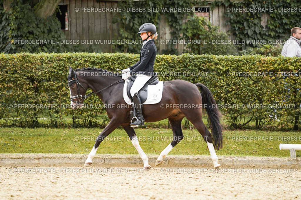 DSC00113 | Pferdegrafie