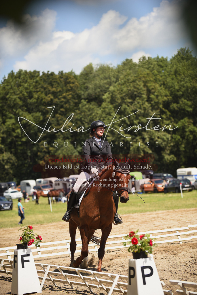 DSC_1289 | Pferde- und Turnierfotografie in Westsachsen. Pferdeportraits, Auftragszeichnungen und intuitive Kunst.