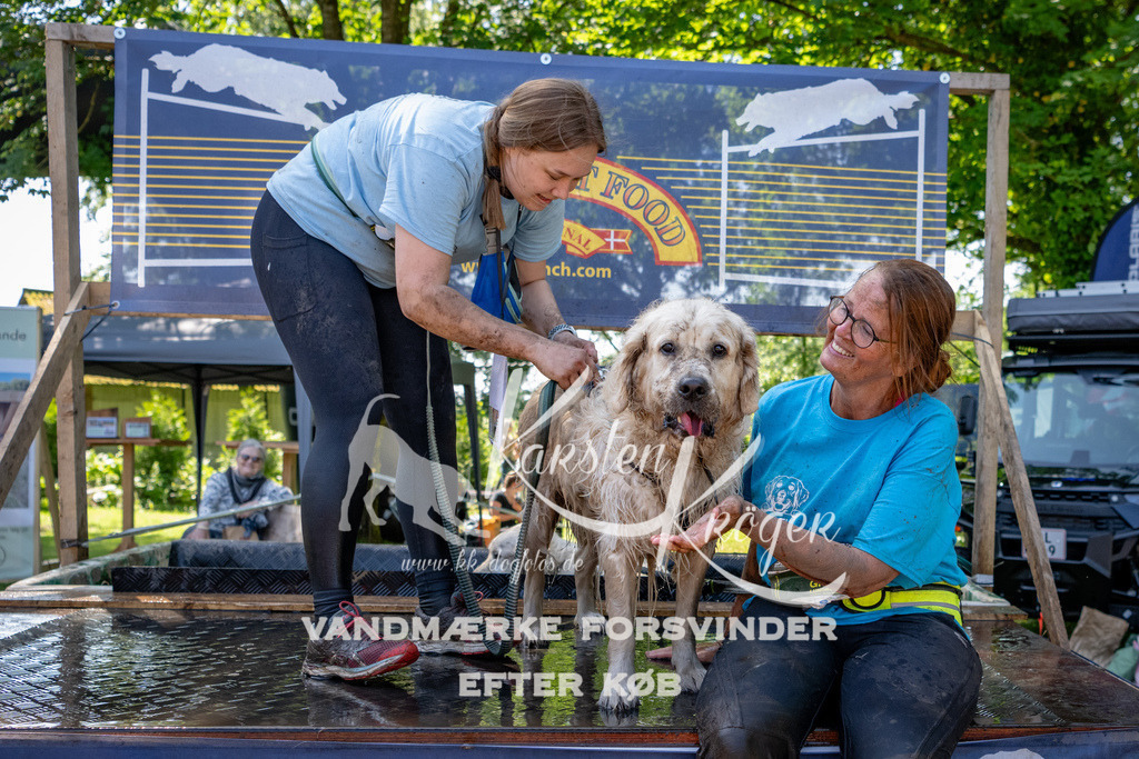 1340_ZZ91834 | kk-dogfotos