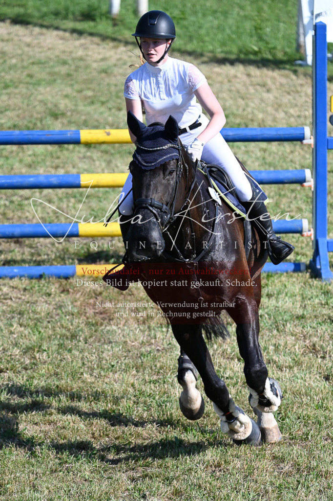 DSC_2494 | Pferde- und Turnierfotografie in Westsachsen. Pferdeportraits, Auftragszeichnungen und intuitive Kunst.