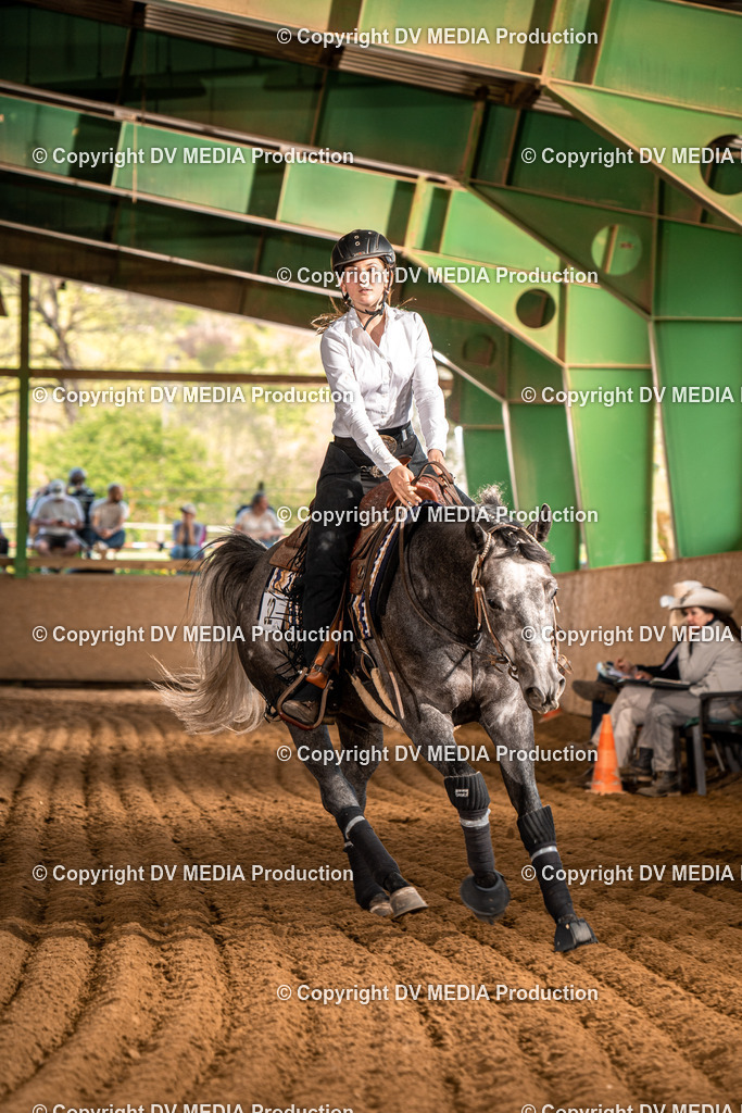 Balingen Tag 5-1010 | dv-media-shop - Realisiert mit Pictrs.com