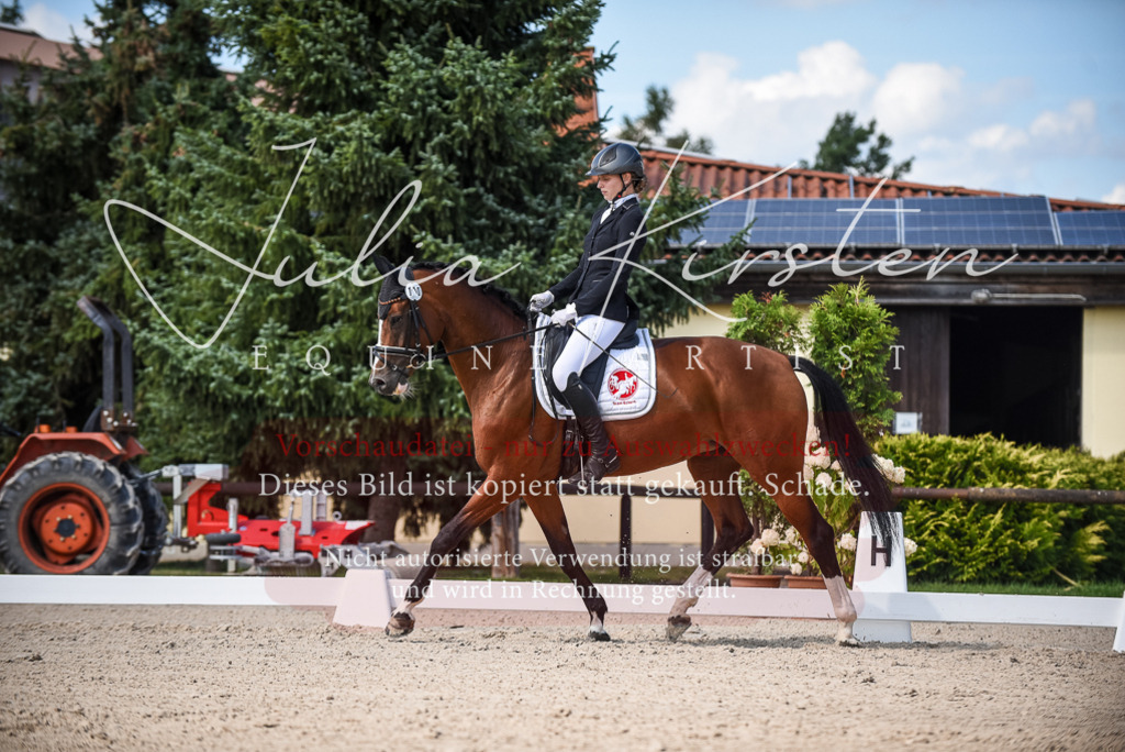DSC_9479 | Pferde- und Turnierfotografie in Westsachsen. Pferdeportraits, Auftragszeichnungen und intuitive Kunst.