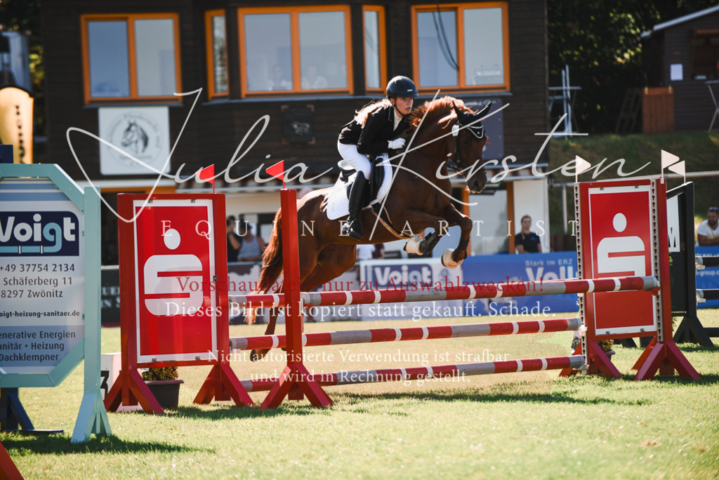 DSC_2448 | Pferde- und Turnierfotografie in Westsachsen. Pferdeportraits, Auftragszeichnungen und intuitive Kunst.