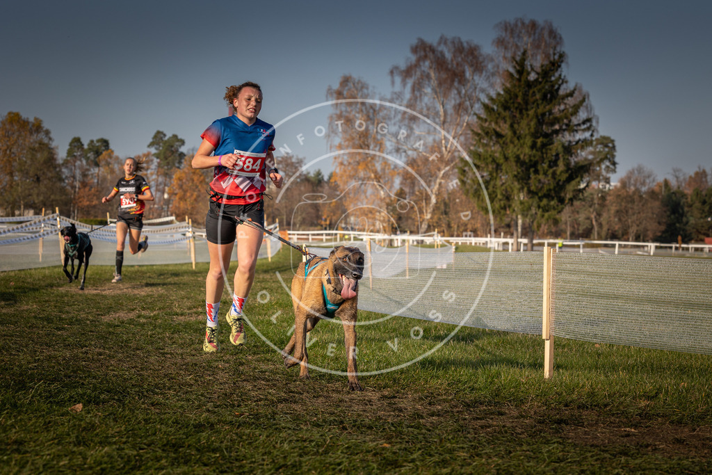 CaniXpix_0L8A9903 | Hundefotografie, Tierfotograf, Pfotenfotografie, Fotoshooting Hund, Hunde Portrait, Hundesport, Hundeportraits, Heideshooting, Hunde, Sportfotograf, Hundefotograf, Turnierhundsport, THS,  - Realisiert mit Pictrs.com